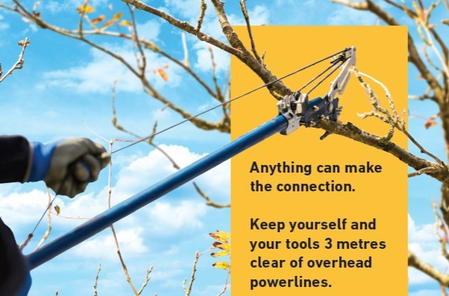 arborist postcard
